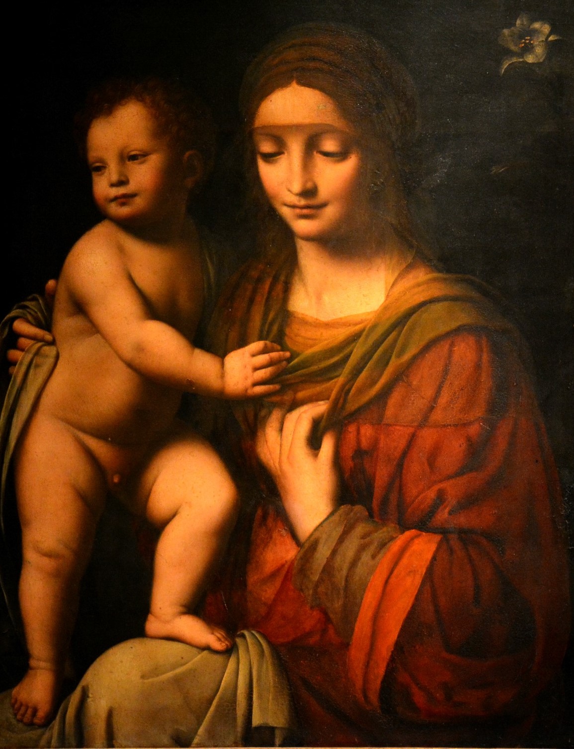 Immagini di Restauro del dipinto Madonna col Bambino di Bernardino Luini