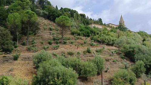 Parco degli Olivi della Consolazione in Todi (PG) slide