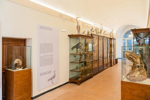 Museo naturalistico Francesco Minà Palumbo slide