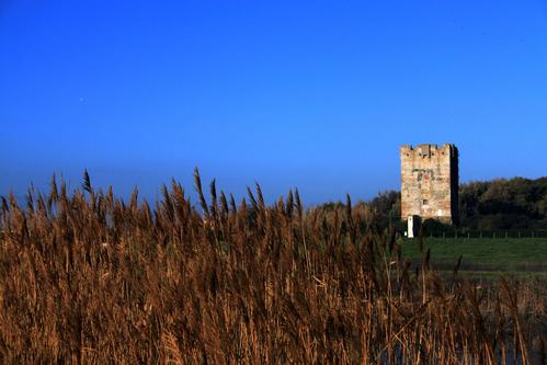 Torre di Palidoro slide