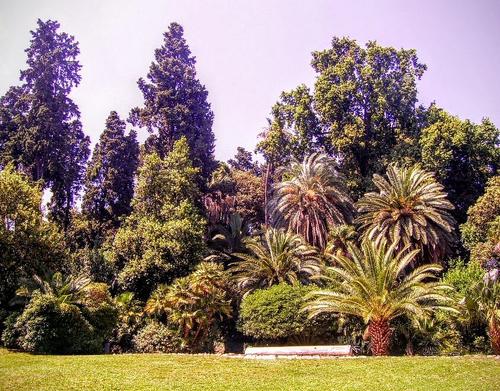 Parco storico di Villa Rossi di Genova slide