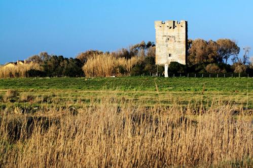 Torre di Palidoro slide