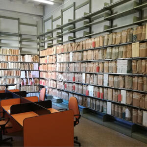 Archivio storico preunitario della Biblioteca comunale degli Ardenti di Viterbo  -   Indicizzazione e valorizzazione dei fondi manoscritti