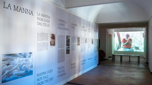 Museo naturalistico Francesco Minà Palumbo slide