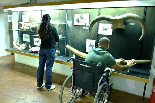 Museo e Istituto Fiorentino di Preistoria slide