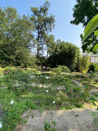 ROSETO ORTO BOTANICO DI ROMA slide