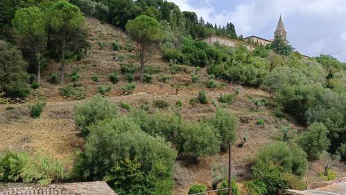 Parco degli Olivi della Consolazione in Todi (PG) slide