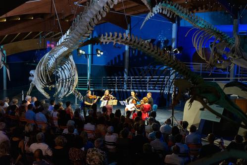 Associazione Amici della Musica di Livorno slide
