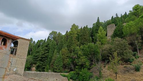 Parco degli Olivi della Consolazione in Todi (PG) slide