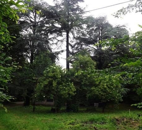 Villa Padulli e il suo Parco Monumentale: una rinascita possibile slide