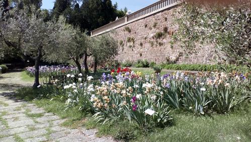 GIARDINO DELL