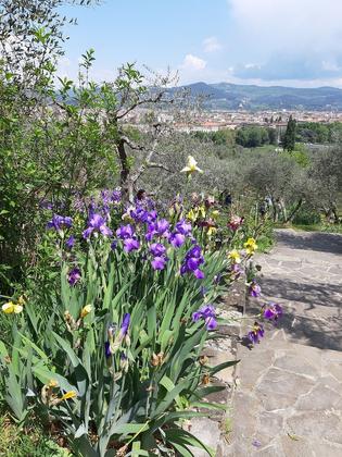GIARDINO DELL