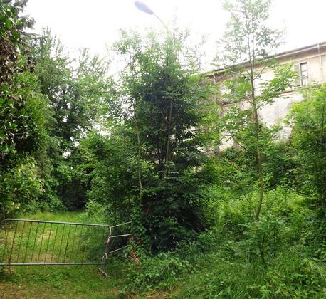 Villa Padulli e il suo Parco Monumentale: una rinascita possibile slide