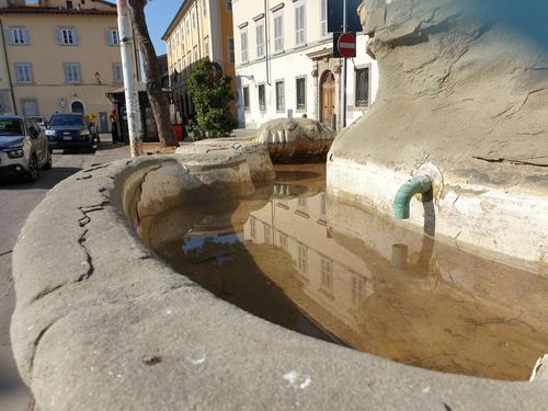 Fontana dei Delfini slide