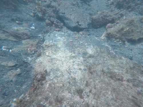 Villa di Quinto Ortensio Ortalo a Marina Grande a Bacoli (Na) slide