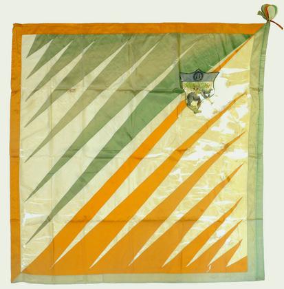 Bandiere del Palio di Siena slide