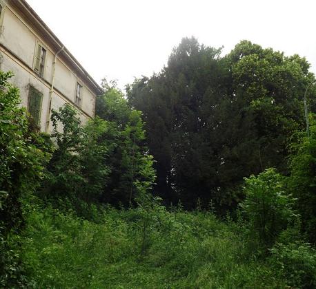 Villa Padulli e il suo Parco Monumentale: una rinascita possibile slide