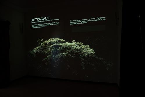Museo naturalistico Francesco Minà Palumbo slide