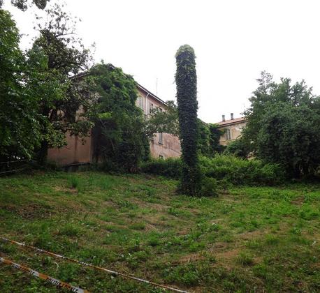 Villa Padulli e il suo Parco Monumentale: una rinascita possibile slide