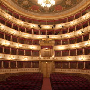 Fondazione Teatro Comunale di Modena  -   Sostegno attività 2021