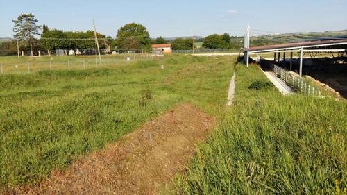 Parco Archeologico Regionale della Città Romana di Suasa slide