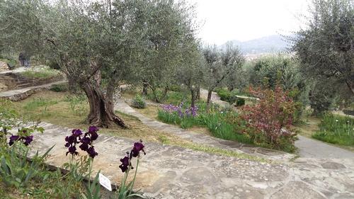 GIARDINO DELL