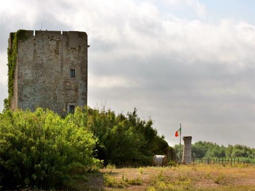 Torre di Palidoro slide