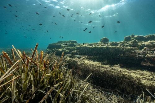 Villa di Quinto Ortensio Ortalo a Marina Grande a Bacoli (Na) slide