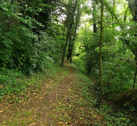 Villa Padulli e il suo Parco Monumentale: una rinascita possibile slide