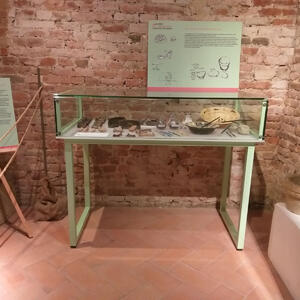 Museo della Ceramica  -   Acquisto arredi museo