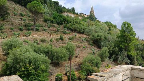 Parco degli Olivi della Consolazione in Todi (PG) slide