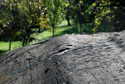 Parco Archeologico Comunale di Seradina-Bedolina slide