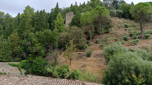 Parco degli Olivi della Consolazione in Todi (PG) slide