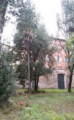 Palazzo Guinigi - La via Francigena e il Volto Santo slide