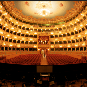 Fondazione Teatro La Fenice di Venezia  -  Sostegno Stagione 2020