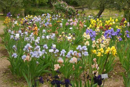 GIARDINO DELL
