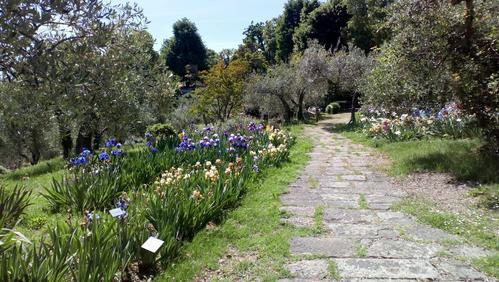 GIARDINO DELL