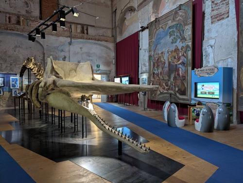 MUSEO PALEONTOLOGICO slide