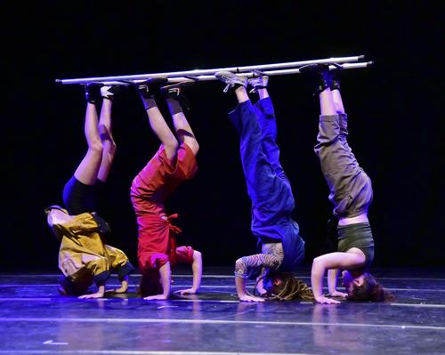 SOCIETÁ GINNASTICA DI TORINO A.P.S. A.S.D. slide