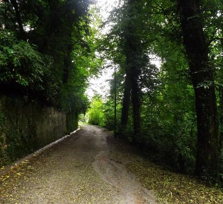 Villa Padulli e il suo Parco Monumentale: una rinascita possibile slide