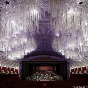 Teatro Regio di Torino  -   Sostegno anno 2020