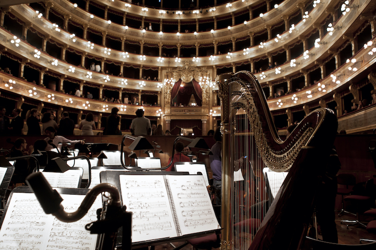 Immagini di Sostegno alla Fondazione Teatro Massimo - anno 2021