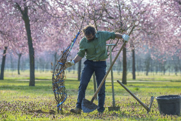 Immagini di ROL 69914 - Corso di formazione per Giardinieri d’arte per giardini e parchi storici. Progetto per l’edizione 2021/2022