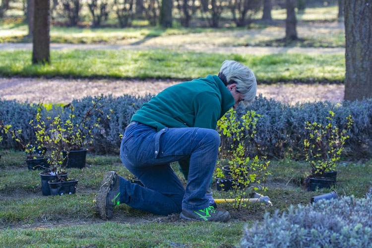 Immagini di ROL 69914 - Corso di formazione per Giardinieri d’arte per giardini e parchi storici. Progetto per l’edizione 2021/2022