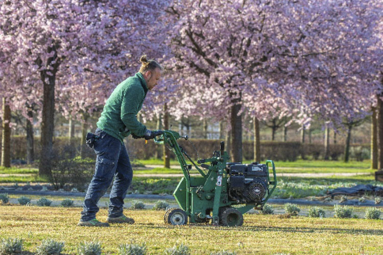 Immagini di ROL 69914 - Corso di formazione per Giardinieri d’arte per giardini e parchi storici. Progetto per l’edizione 2021/2022